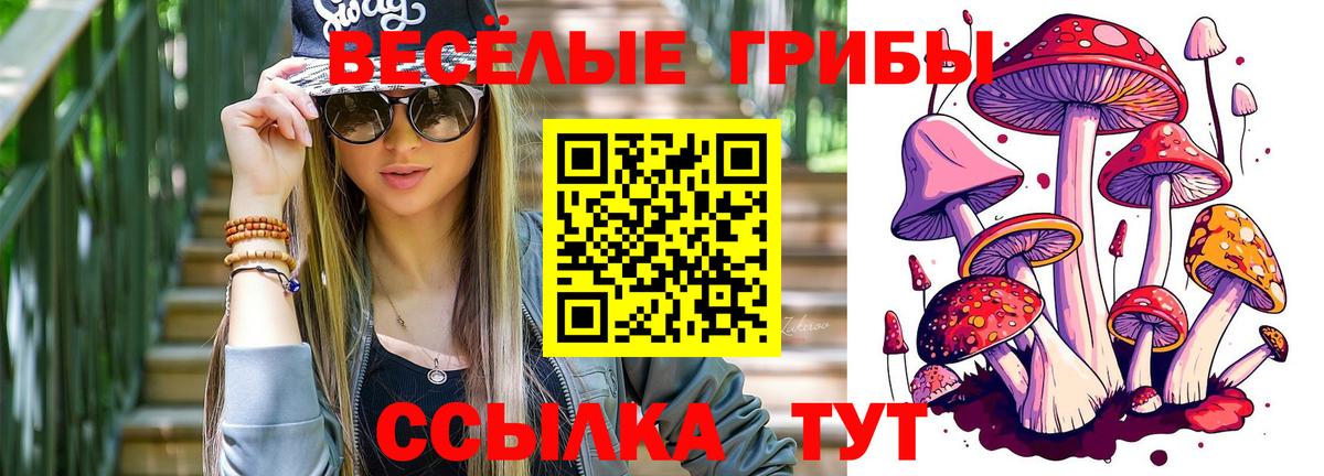 Галлюциногенные грибы Psilocybe  Вход с VPN  Магнитогорск 